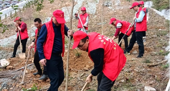村企共建，共植先锋林
