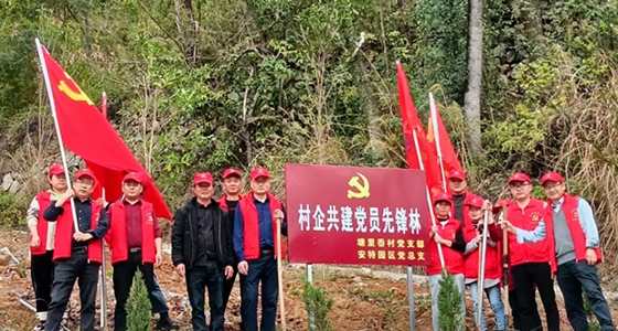 村企共建，共植先锋林