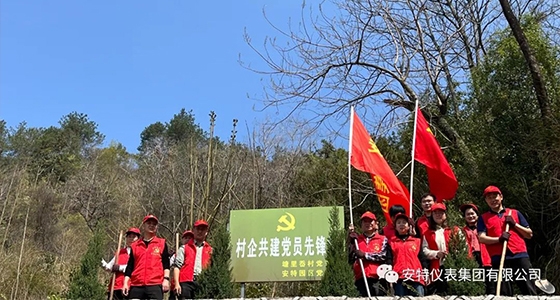党建强引领，共植先锋林