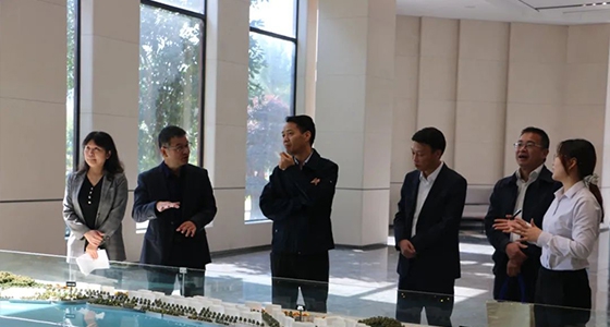 丽水市委统战部一行调研尊龙凯时仪表集团
